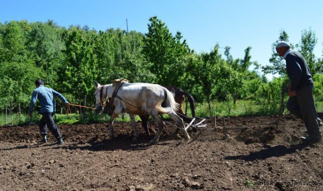 Tarımsal Girdi Fiyatları Kasım'da da Arttı