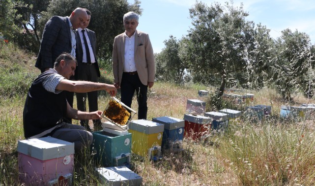 Büyükşehir’den Manisalı Arıcılara Ana Arı Desteği