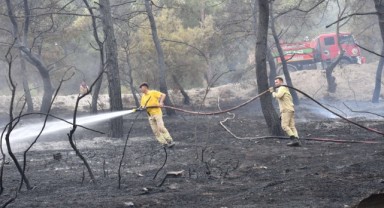 Büyükşehir İtfaiyesi Yangınlarla Mücadeleye Devam Ediyor