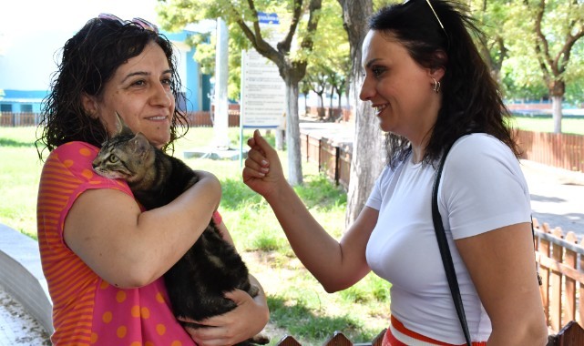 Büyükşehir ‘Can Dostlarımızı’ Hayata Bağlıyor