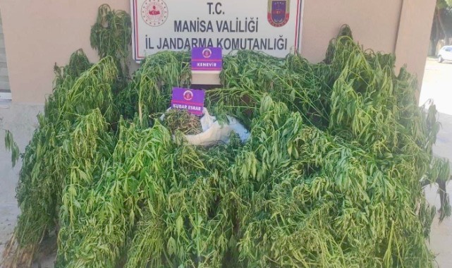 Alaşehir'de 14,6 Kilogram Uyuşturucu Madde Ele Geçirildi