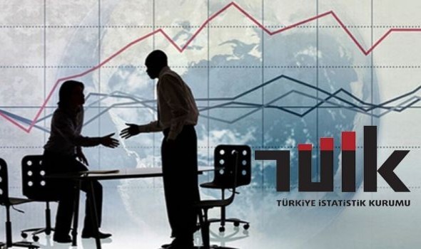 2023 Yılı Mali Aracı Kuruluş İstatistikleri TÜİK Tarafından Yayınlandı.
