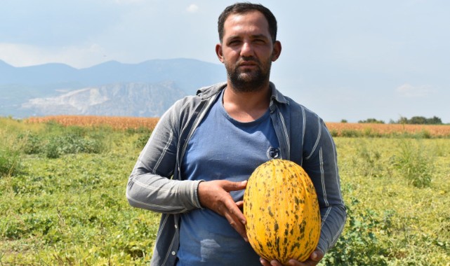 Manisalı Çiftçi Ahmet Fidan, Kavun Fiyatlarındaki Düşüşten Yakındı: "Çiftçi Biterse Halk Biter"