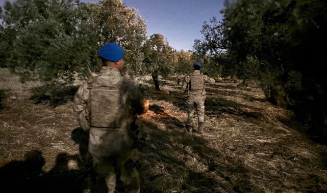 Manisa'da Zeytin Hırsızlıklarına Karşı Emniyet Tedbirleri Sıkılaştırıldı
