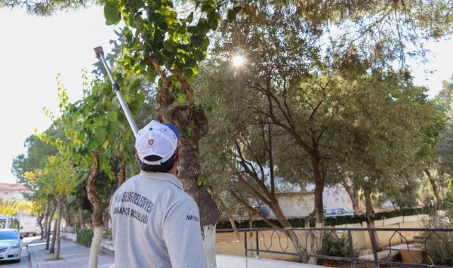 YUNUSEMRE’DE BUDAMA ÇALIŞMALARI DEVAM EDİYOR