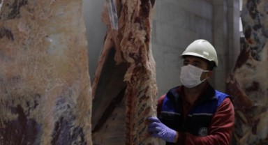 Büyükşehir Modern Mezbahaları ile Güvenilir Hizmet Veriyor