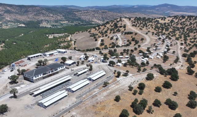 EGE BÖLGESİ’NİN EN BÜYÜK HAYVAN YAŞAM MERKEZİ MARTTA AÇILIYOR