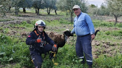 Kuyuya Düşen Koyun İtfaiye Tarafından Kurtarıldı