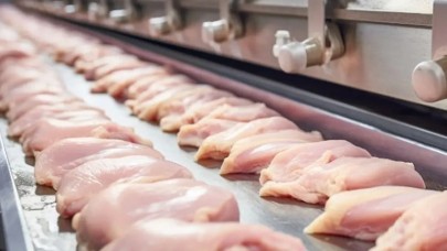 Listeria Tehlikesi: Tavuk Ürünlerinde Gizlenen Sessiz Tehdit