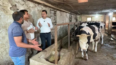 Bakanın Bakma Gücü Yok, Kurban Kesecek Olanın Kesecek Gücü Yok
