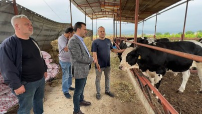 CHP’li Başevirgen’e Dert Yanan Besici: “Mazot Karşılığı Kurbanlık Satıyoruz”