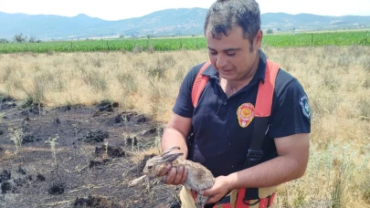 Manisa’da Anız Yangınları Alarm Veriyor: 24 Saatte 150 Müdahale