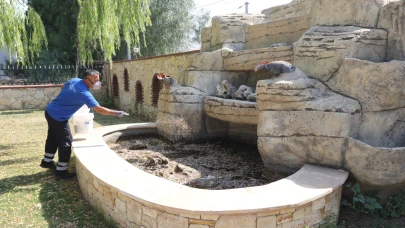 Efes Selçuk’ta Halk Sağlığı İçin İlaçlama Seferberliği Başlatıldı