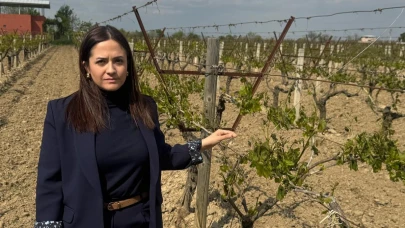 Gözde Aytaç: “Manisa Tarımı Doğru Politikalarla Yükselir”