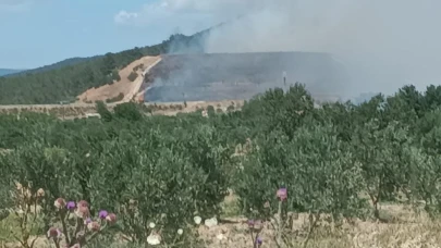 Soma Yırca Mahallesi’nde Orman Yangını: Müdahale Sürüyor