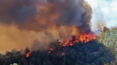 Akhisar’da Yangınla Mücadele Sürüyor: Başkan Kayserili Sahada