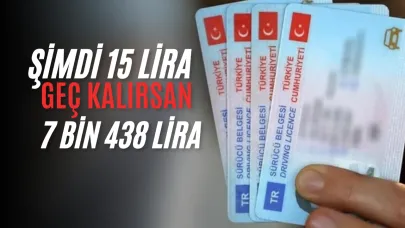 Eski tip ehliyetlerin yenilenmesi için "son 10 gün" uyarısı!