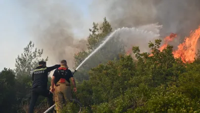 Büyükşehir’den Kayapınar’daki Orman Yangınına Hızlı Müdahale
