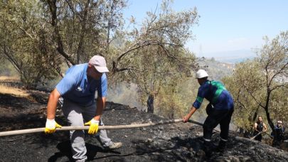 Edremit Çamlıbel’deki Yangın Büyümeden Kontrol Altına Alındı