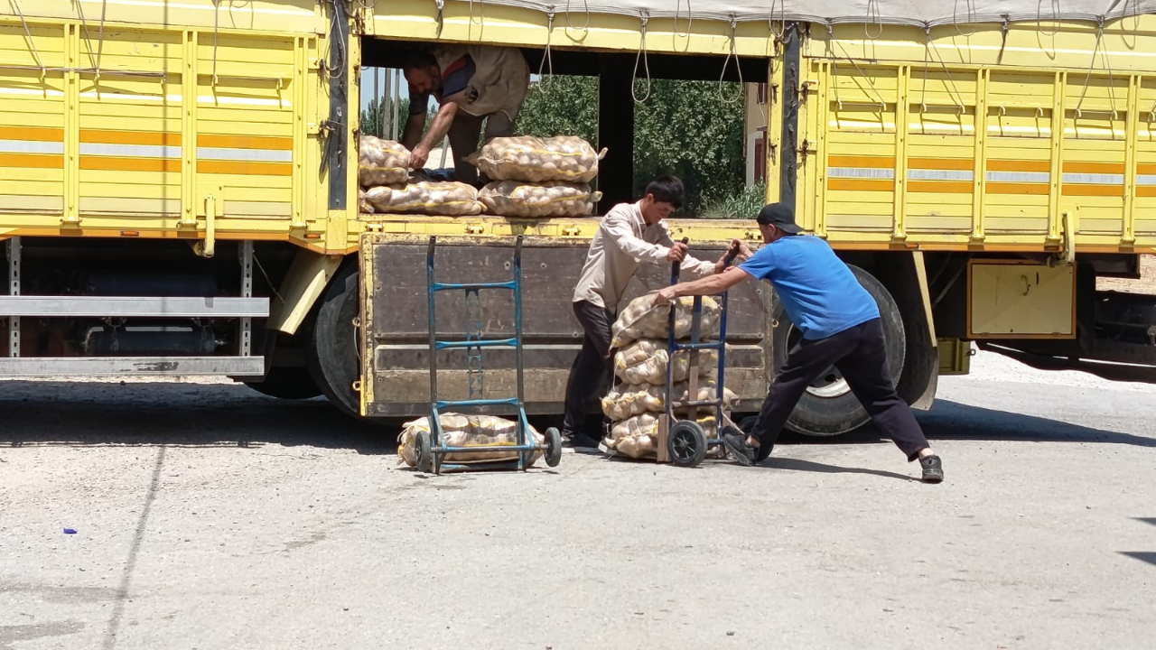 Manisa’da Örnek Dayanışma: Muhtar Barış Baş’tan 20 Ton Patates Desteği