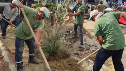 Manisa’da Kurakçıl Peyzaj Dönemi: Hem Estetik Hem Su Tasarrufu