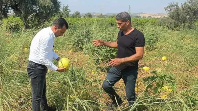 Çiftçiden CHP’li Başevirgen’e isyan: “Bu düzen çiftçiyi bitirir”