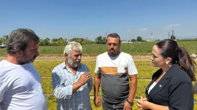İYİ Parti’li Aytaç: “Üzüm Üreticimiz Çok Zor Durumda”