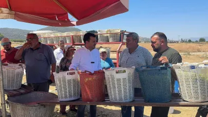 Rekolte yarı yarıya düştü ama fiyatlar aynı kaldı