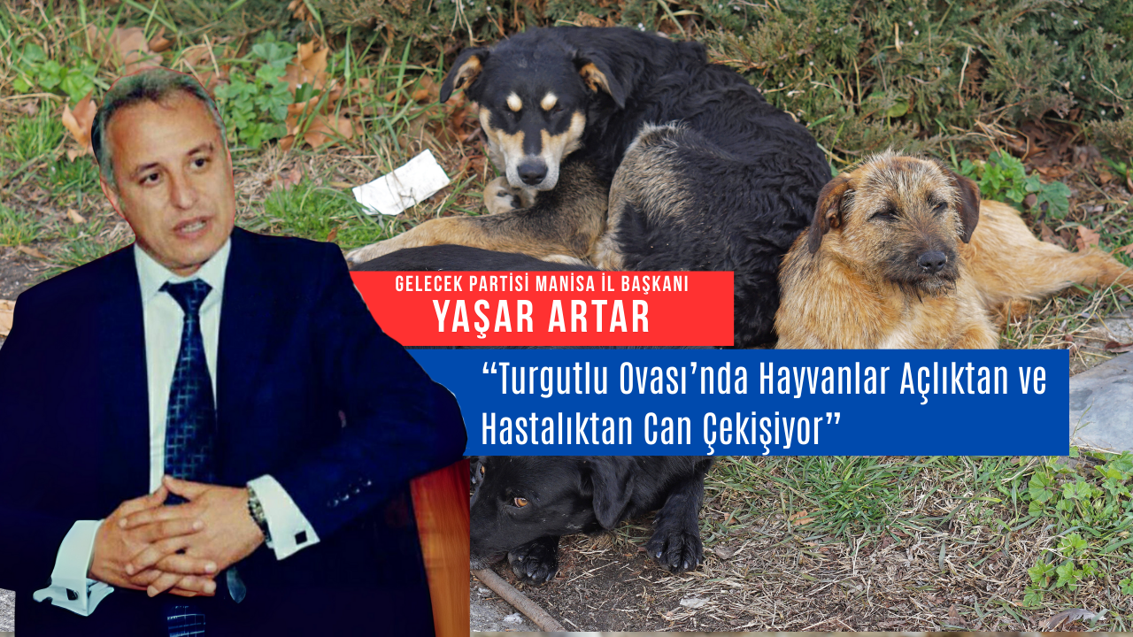 Yaşar Artar: “Turgutlu Ovası’nda Hayvanlar Açlıktan ve Hastalıktan Can Çekişiyor”