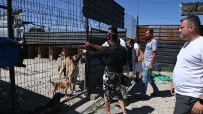 Kula’da Sokak Hayvanları İçin Doğal Yaşam Alanı Kuruluyor