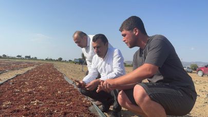 Başevirgen: Üretici Yerinde Durabiliyor Olmaya Şükrediyor