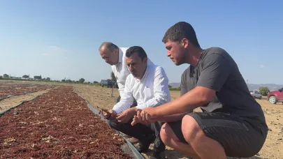 Başevirgen: Üretici Yerinde Durabiliyor Olmaya Şükrediyor