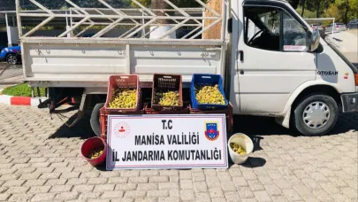 Kırkağaç’ta Meyve Bahçesinden İncir Çalan 5 Kişi Suçüstü Yakalandı