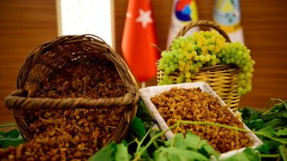 Manisa Tarımı 2025’te İhracatta Rekor Seviyelere Ulaştı
