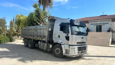 Muradiye Fidanlığından 25 Bin Fidan Beştepe Millet Ormanına
