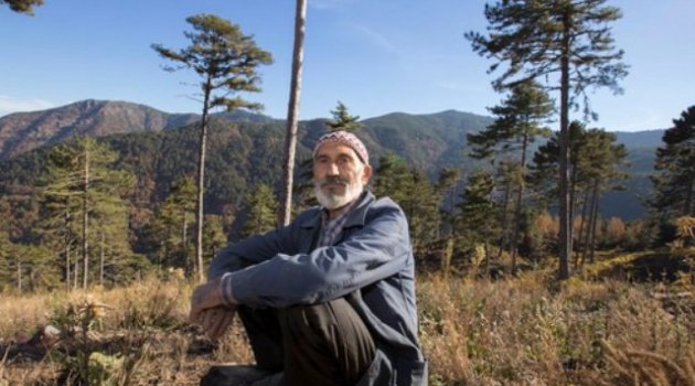 73 Yaşındaki Hüseyin Dede Ormanda Gönüllü Çalışıyor