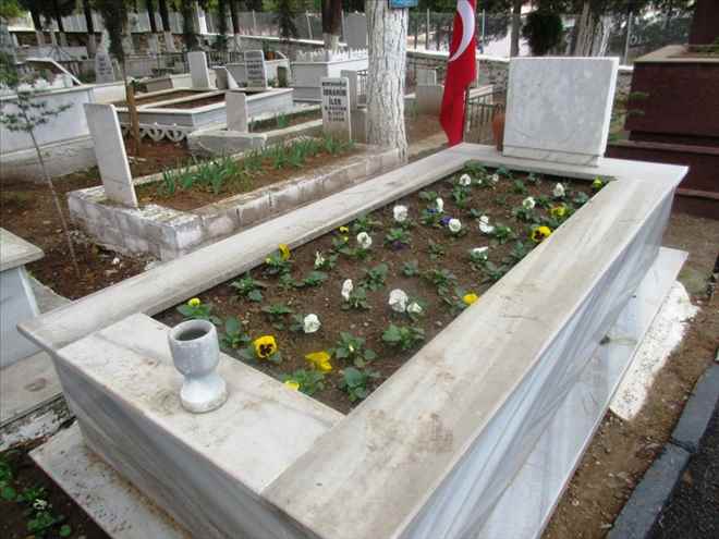 Ahmetli´de Menekşe Devri