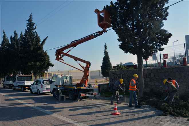 Aşağıçobanisa´ da Elektrik Kesintilerine Çözüm