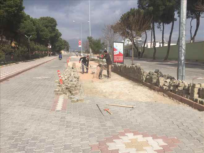 Büyükşehir´e Geçti, Çalışmalar Başladı