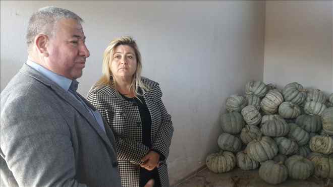 Kırkağaç´ta Üreticinin Yüzünü Güldüren Hizmet