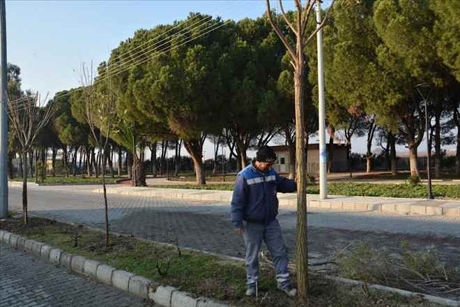 Şehzadeler ´den Ağaçlandırma Seferberliği