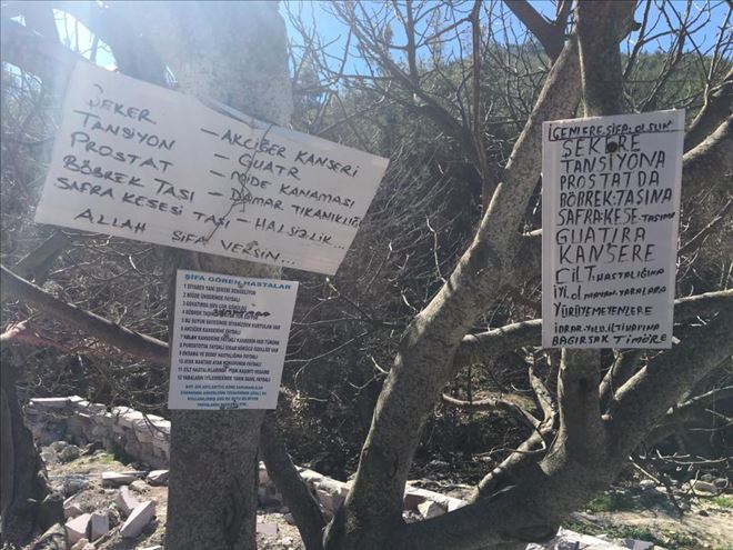 Şifalı Su Kaynağına Büyükşehir Dokunuşu