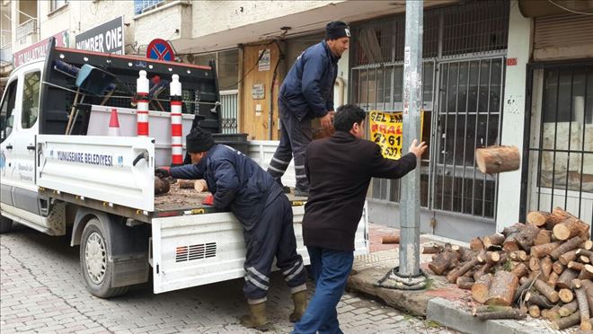 Yunusemre´de Budanan Ağaçlar Ihtiyaç Sahiplerine Veriliyor