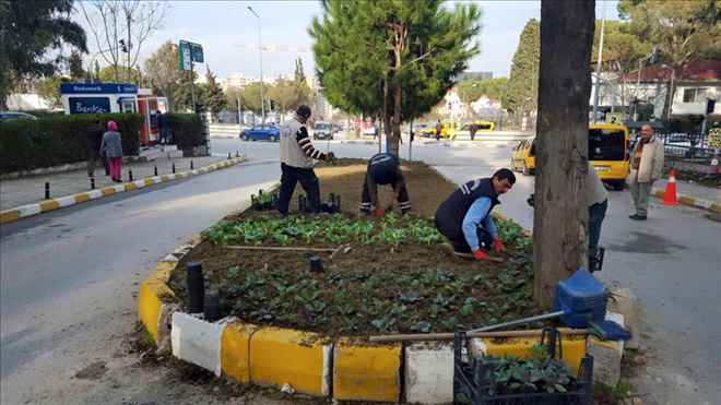 Yunusemre Yemyeşil Bir Kent İçin Çalışıyor
