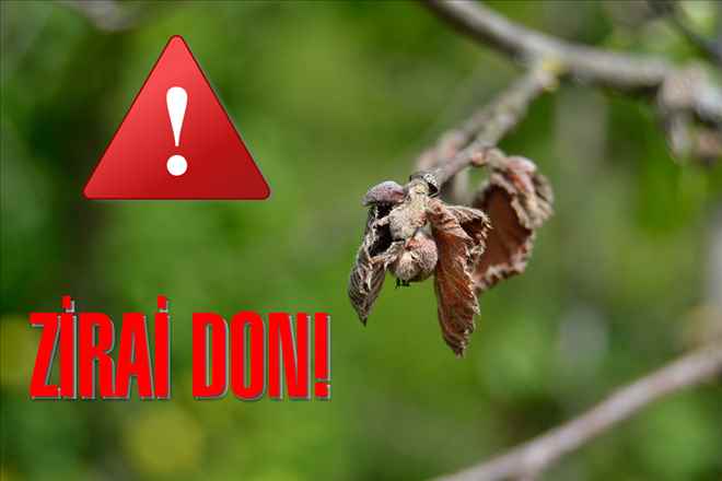 Zirai Don Uyarısı