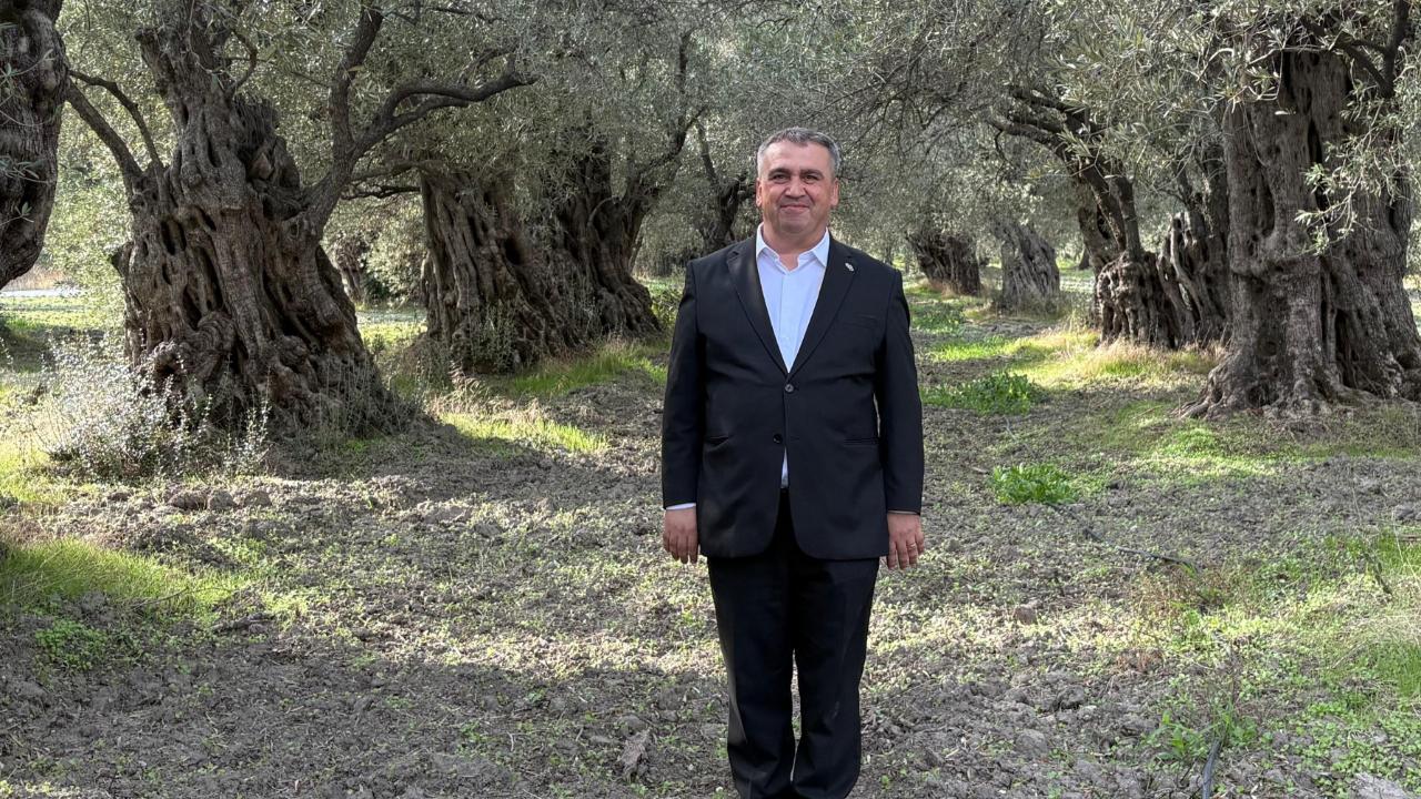Otomatik Taslak