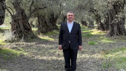 Akhisar’ın Tütün Tarlalarından Zeytin Denizine Uzanan Lezzet Yolculuğu