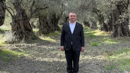 Akhisar’ın Tütün Tarlalarından Zeytin Denizine Uzanan Lezzet Yolculuğu