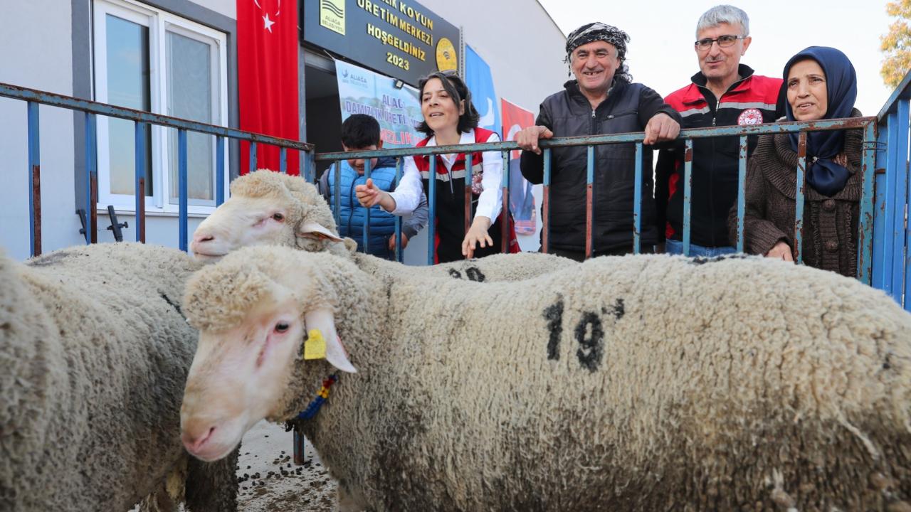 Aliağa Belediyesi’nden Üreticiye Yeni Destek
