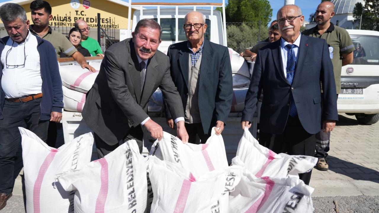 Milas Belediyesi’nden üreticiye ata tohumu desteği